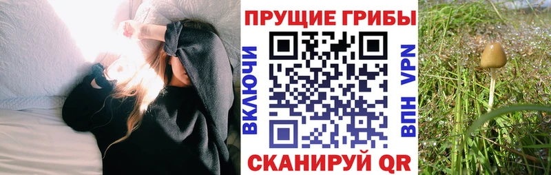 Галлюциногенные грибы GOLDEN TEACHER  как найти наркотики  Цимлянск 